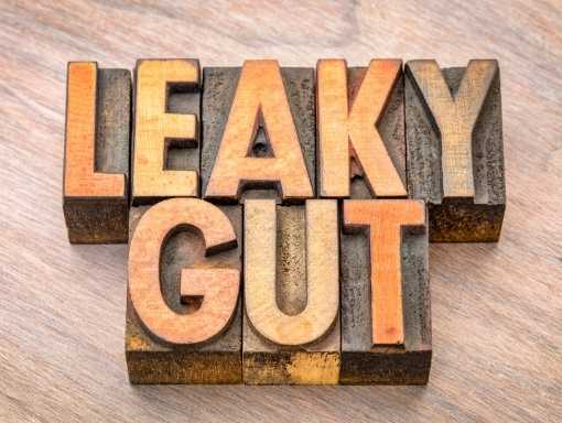 Cos’è il Leaky Gut?